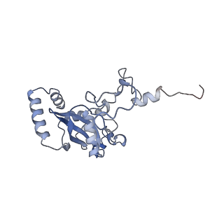 14192_7qwr_N_v1-1
Structure of the ribosome-nascent chain containing an ER signal sequence in complex with NAC
