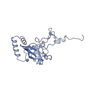 14192_7qwr_N_v2-0
Structure of the ribosome-nascent chain containing an ER signal sequence in complex with NAC
