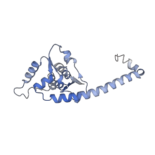 14192_7qwr_O_v1-1
Structure of the ribosome-nascent chain containing an ER signal sequence in complex with NAC