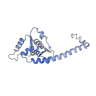 14192_7qwr_O_v2-0
Structure of the ribosome-nascent chain containing an ER signal sequence in complex with NAC