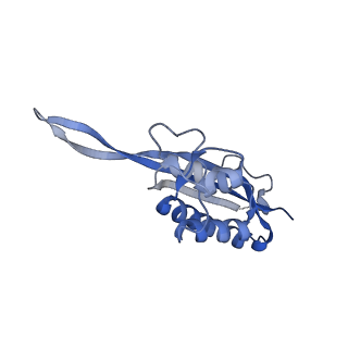 14192_7qwr_P_v1-1
Structure of the ribosome-nascent chain containing an ER signal sequence in complex with NAC