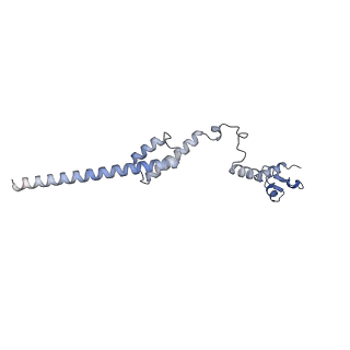 14192_7qwr_R_v1-1
Structure of the ribosome-nascent chain containing an ER signal sequence in complex with NAC