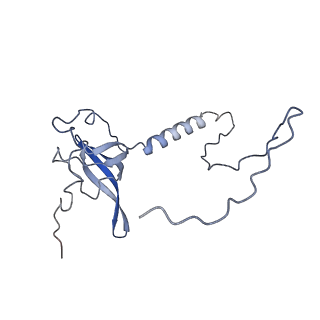 14192_7qwr_T_v1-1
Structure of the ribosome-nascent chain containing an ER signal sequence in complex with NAC