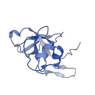 14192_7qwr_V_v1-1
Structure of the ribosome-nascent chain containing an ER signal sequence in complex with NAC