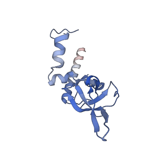 14192_7qwr_Y_v1-1
Structure of the ribosome-nascent chain containing an ER signal sequence in complex with NAC