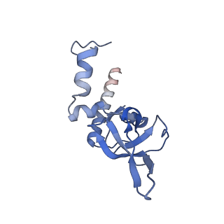 14192_7qwr_Y_v2-0
Structure of the ribosome-nascent chain containing an ER signal sequence in complex with NAC