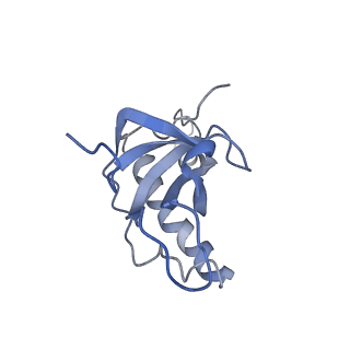 14192_7qwr_Z_v1-1
Structure of the ribosome-nascent chain containing an ER signal sequence in complex with NAC