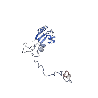 14192_7qwr_a_v1-1
Structure of the ribosome-nascent chain containing an ER signal sequence in complex with NAC