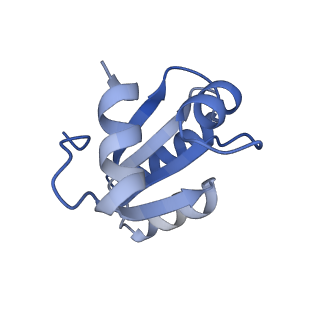 14192_7qwr_c_v1-1
Structure of the ribosome-nascent chain containing an ER signal sequence in complex with NAC