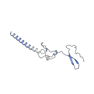 14192_7qwr_g_v1-1
Structure of the ribosome-nascent chain containing an ER signal sequence in complex with NAC