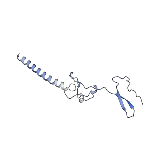 14192_7qwr_g_v2-0
Structure of the ribosome-nascent chain containing an ER signal sequence in complex with NAC