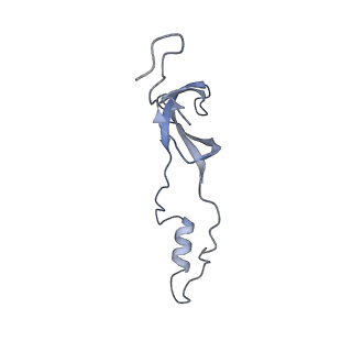 14192_7qwr_o_v1-1
Structure of the ribosome-nascent chain containing an ER signal sequence in complex with NAC