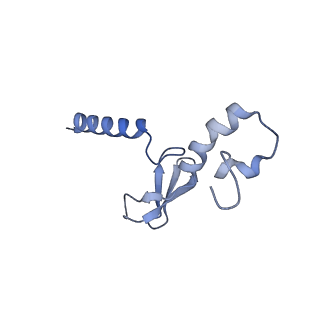 14192_7qwr_p_v1-1
Structure of the ribosome-nascent chain containing an ER signal sequence in complex with NAC