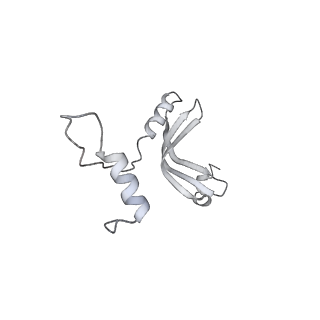 14192_7qwr_u_v1-1
Structure of the ribosome-nascent chain containing an ER signal sequence in complex with NAC