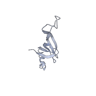 4658_6qw6_42_v1-3
Structure of the human U5.U4/U6 tri-snRNP at 2.9A resolution.