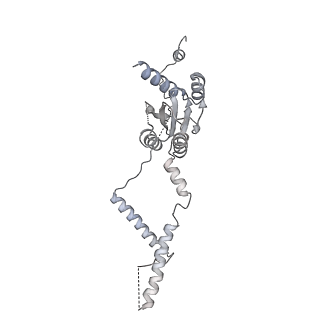 4658_6qw6_4A_v1-3
Structure of the human U5.U4/U6 tri-snRNP at 2.9A resolution.