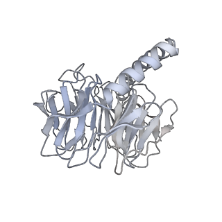 4658_6qw6_4B_v1-3
Structure of the human U5.U4/U6 tri-snRNP at 2.9A resolution.