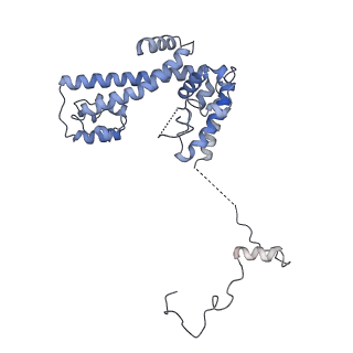 4658_6qw6_4C_v1-3
Structure of the human U5.U4/U6 tri-snRNP at 2.9A resolution.