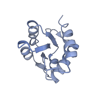 4658_6qw6_4D_v1-3
Structure of the human U5.U4/U6 tri-snRNP at 2.9A resolution.