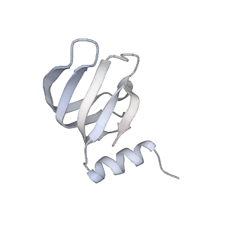4658_6qw6_4e_v1-3
Structure of the human U5.U4/U6 tri-snRNP at 2.9A resolution.