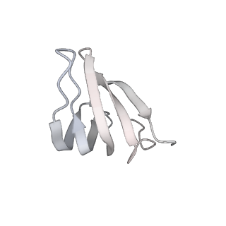 4658_6qw6_4g_v1-3
Structure of the human U5.U4/U6 tri-snRNP at 2.9A resolution.