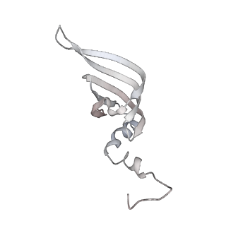 4658_6qw6_52_v1-3
Structure of the human U5.U4/U6 tri-snRNP at 2.9A resolution.