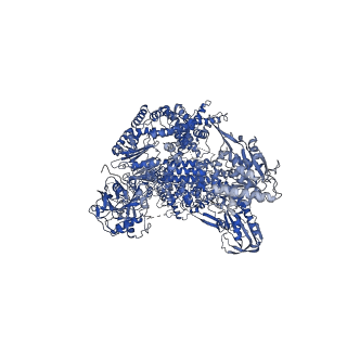 4658_6qw6_5A_v1-3
Structure of the human U5.U4/U6 tri-snRNP at 2.9A resolution.
