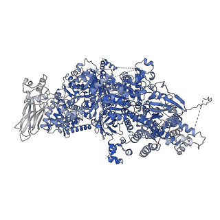 4658_6qw6_5B_v1-3
Structure of the human U5.U4/U6 tri-snRNP at 2.9A resolution.