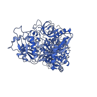 4658_6qw6_5C_v1-3
Structure of the human U5.U4/U6 tri-snRNP at 2.9A resolution.