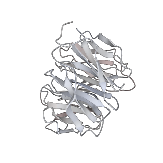 4658_6qw6_5O_v1-3
Structure of the human U5.U4/U6 tri-snRNP at 2.9A resolution.