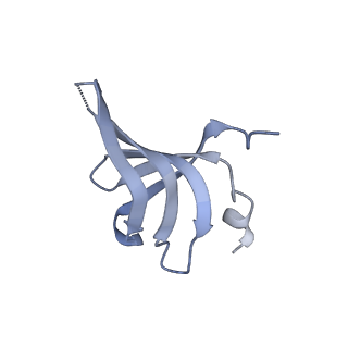4658_6qw6_5b_v1-3
Structure of the human U5.U4/U6 tri-snRNP at 2.9A resolution.