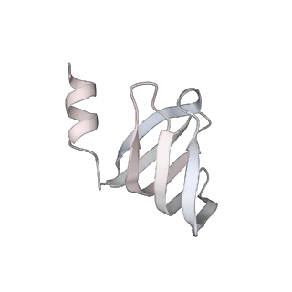 4658_6qw6_66_v1-3
Structure of the human U5.U4/U6 tri-snRNP at 2.9A resolution.