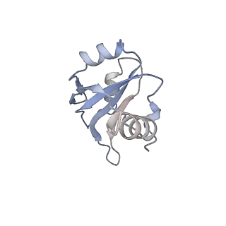 4658_6qw6_R_v1-3
Structure of the human U5.U4/U6 tri-snRNP at 2.9A resolution.