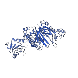 4658_6qw6_U_v1-3
Structure of the human U5.U4/U6 tri-snRNP at 2.9A resolution.