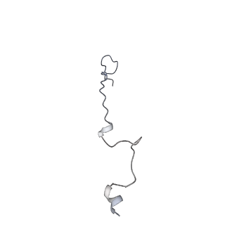 4658_6qw6_X_v1-3
Structure of the human U5.U4/U6 tri-snRNP at 2.9A resolution.