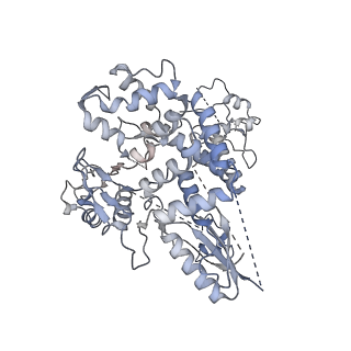 4660_6qwl_K_v1-4
Influenza B virus (B/Panama/45) polymerase Hetermotrimer in complex with 3'5' cRNA promoter