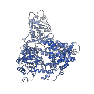 14196_7qxa_A_v1-2
Cryo-EM map of human telomerase-DNA-TPP1 complex (sharpened)