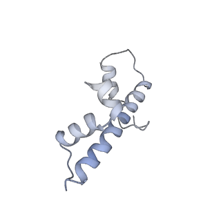 14196_7qxa_L_v1-2
Cryo-EM map of human telomerase-DNA-TPP1 complex (sharpened)