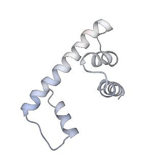 14196_7qxa_M_v1-2
Cryo-EM map of human telomerase-DNA-TPP1 complex (sharpened)