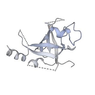 14196_7qxa_O_v1-2
Cryo-EM map of human telomerase-DNA-TPP1 complex (sharpened)