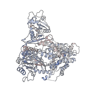 14197_7qxb_A_v1-2
Cryo-EM map of human telomerase-DNA-TPP1-POT1 complex (sharpened map)