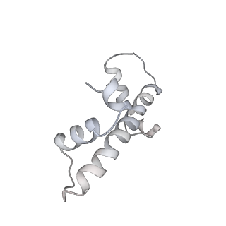 14197_7qxb_L_v1-2
Cryo-EM map of human telomerase-DNA-TPP1-POT1 complex (sharpened map)