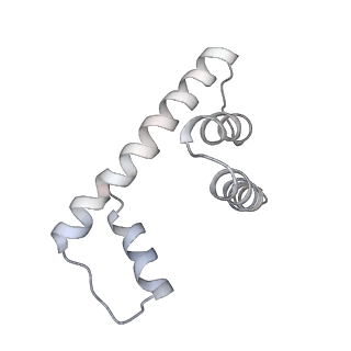 14197_7qxb_M_v1-2
Cryo-EM map of human telomerase-DNA-TPP1-POT1 complex (sharpened map)