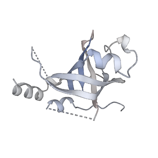 14197_7qxb_O_v1-2
Cryo-EM map of human telomerase-DNA-TPP1-POT1 complex (sharpened map)