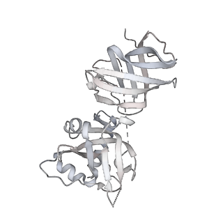 14197_7qxb_P_v1-2
Cryo-EM map of human telomerase-DNA-TPP1-POT1 complex (sharpened map)