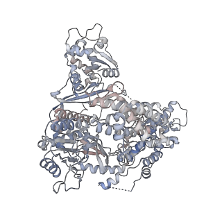 14197_7qxs_A_v1-2
Cryo-EM structure of human telomerase-DNA-TPP1-POT1 complex (with POT1 side chains)