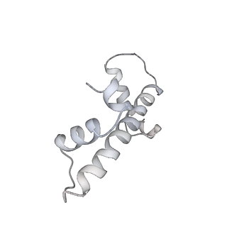 14197_7qxs_L_v1-2
Cryo-EM structure of human telomerase-DNA-TPP1-POT1 complex (with POT1 side chains)