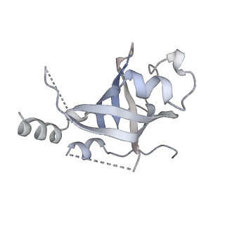 14197_7qxs_O_v1-2
Cryo-EM structure of human telomerase-DNA-TPP1-POT1 complex (with POT1 side chains)