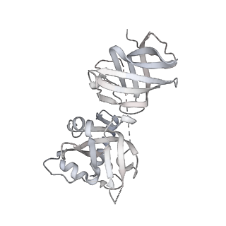 14197_7qxs_P_v1-2
Cryo-EM structure of human telomerase-DNA-TPP1-POT1 complex (with POT1 side chains)