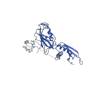 14200_7qxi_A_v1-1
Cryo-EM structure of RNA polymerase-sigma54 holo enzyme with promoter DNA closed complex